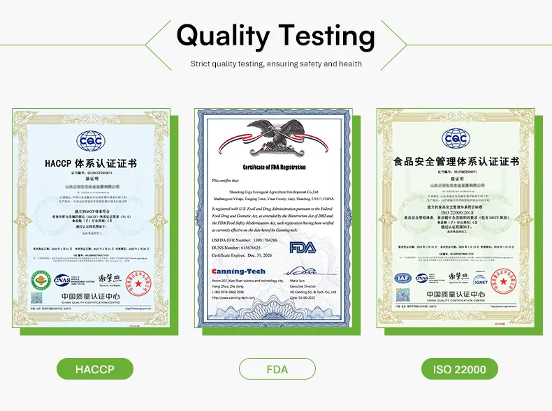 Certificado 1