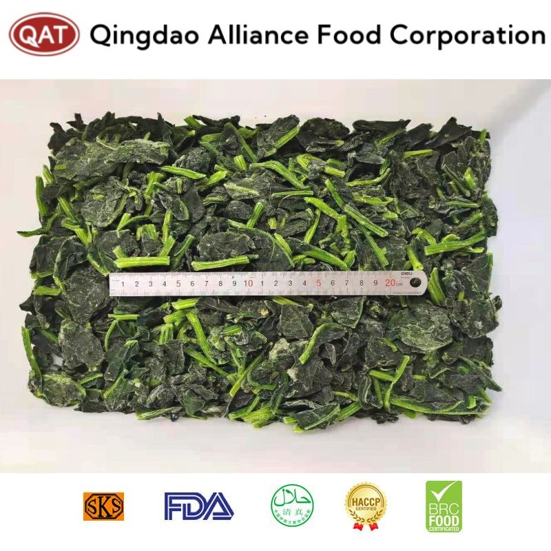 Espinacas picadas congeladas IQF de calidad premium para comidas saludables