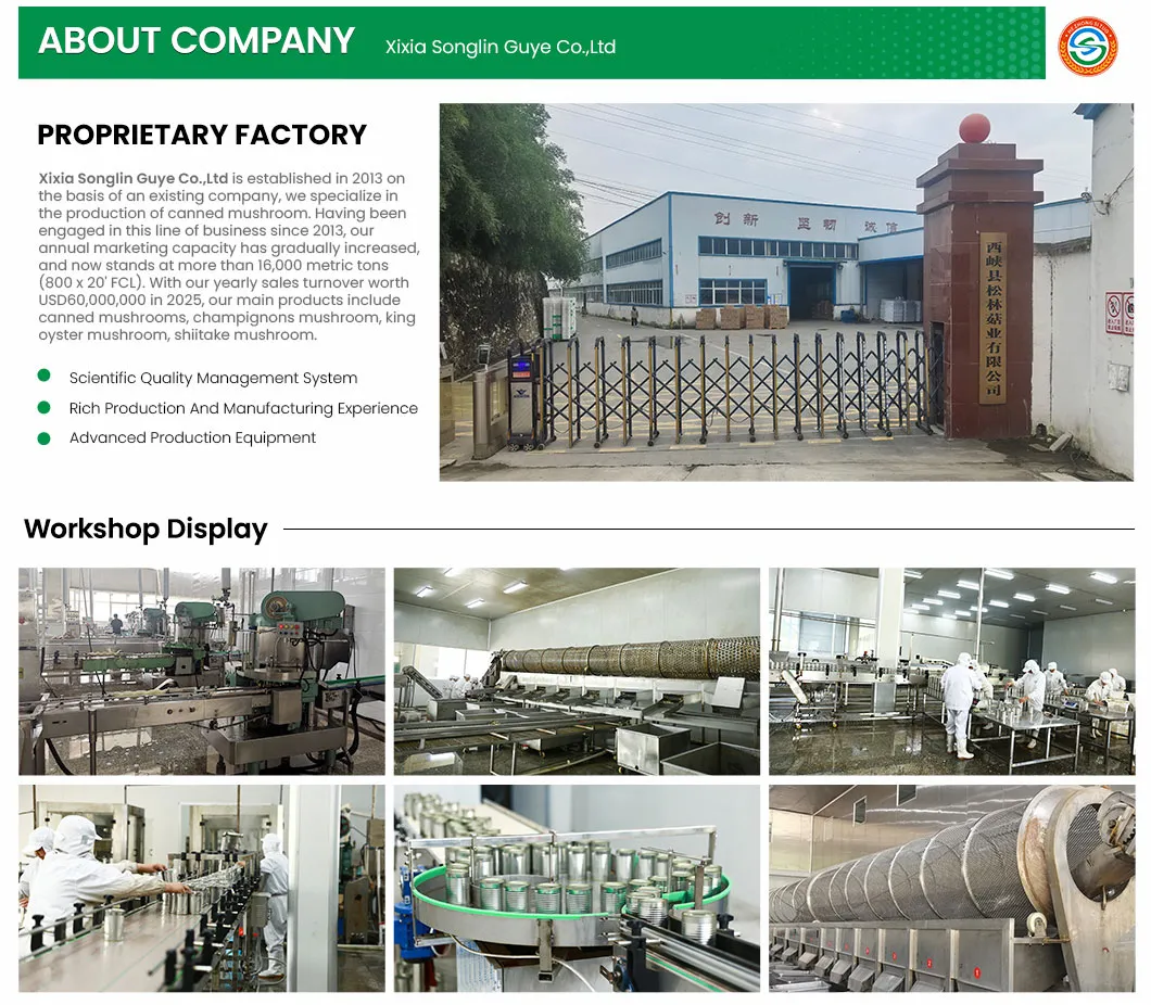 Champiñones enteros enlatados de calidad premium para cocinar y cenar
