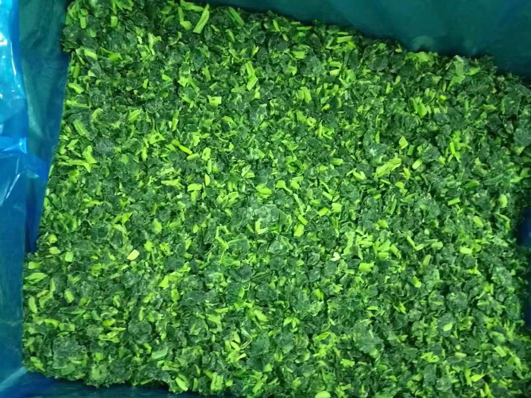 Espinacas picadas IQF 4