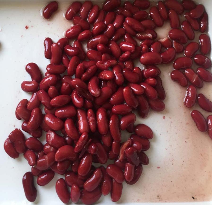 Frijoles Rojos en Lata Certificados Halal 425g para Mezcla de Contenedor