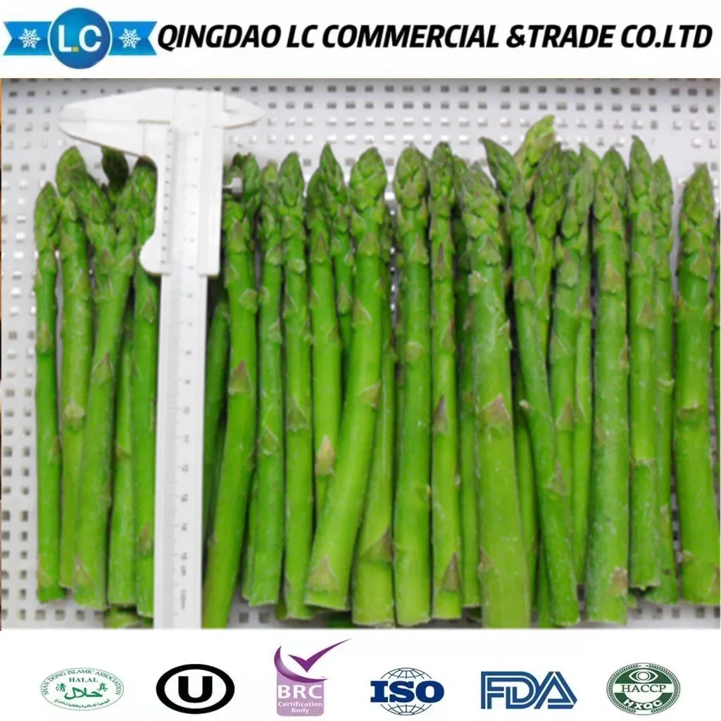 Nutrición y Salud Nueva Llegada Fresco IQF Congelado Espárrago Verde Fresco