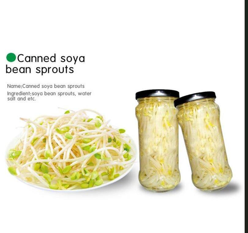 Brotes de soja enlatados en frasco de vidrio 370ml/425g/2840g