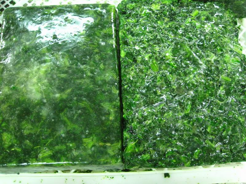 Fábrica certificada Brc-a de Sinocharm, espinaca fresca congelada IQF