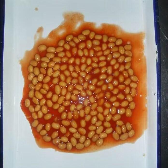 Perfección Rica en Proteínas Frijoles al Horno en Salsa de Tomate