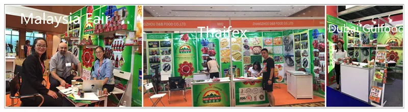Frijoles rojos enlatados de calidad premium cocidos al vapor