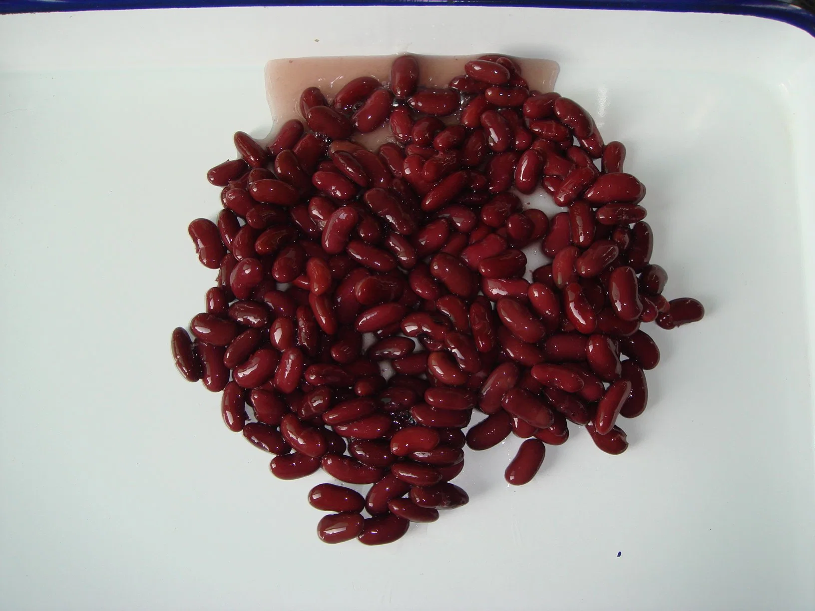 Frijoles rojos enlatados al por mayor de China con etiqueta privada