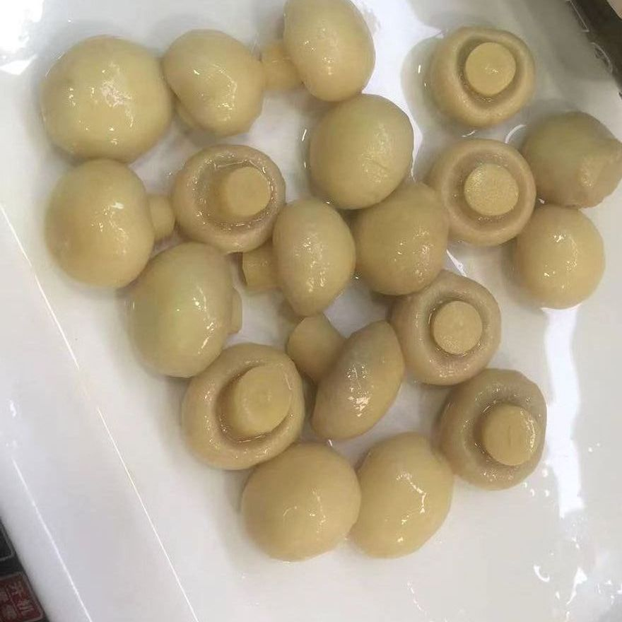 Champiñón enlatado entero proveedor de China buen precio 400g/425g/600g/820g/2950g