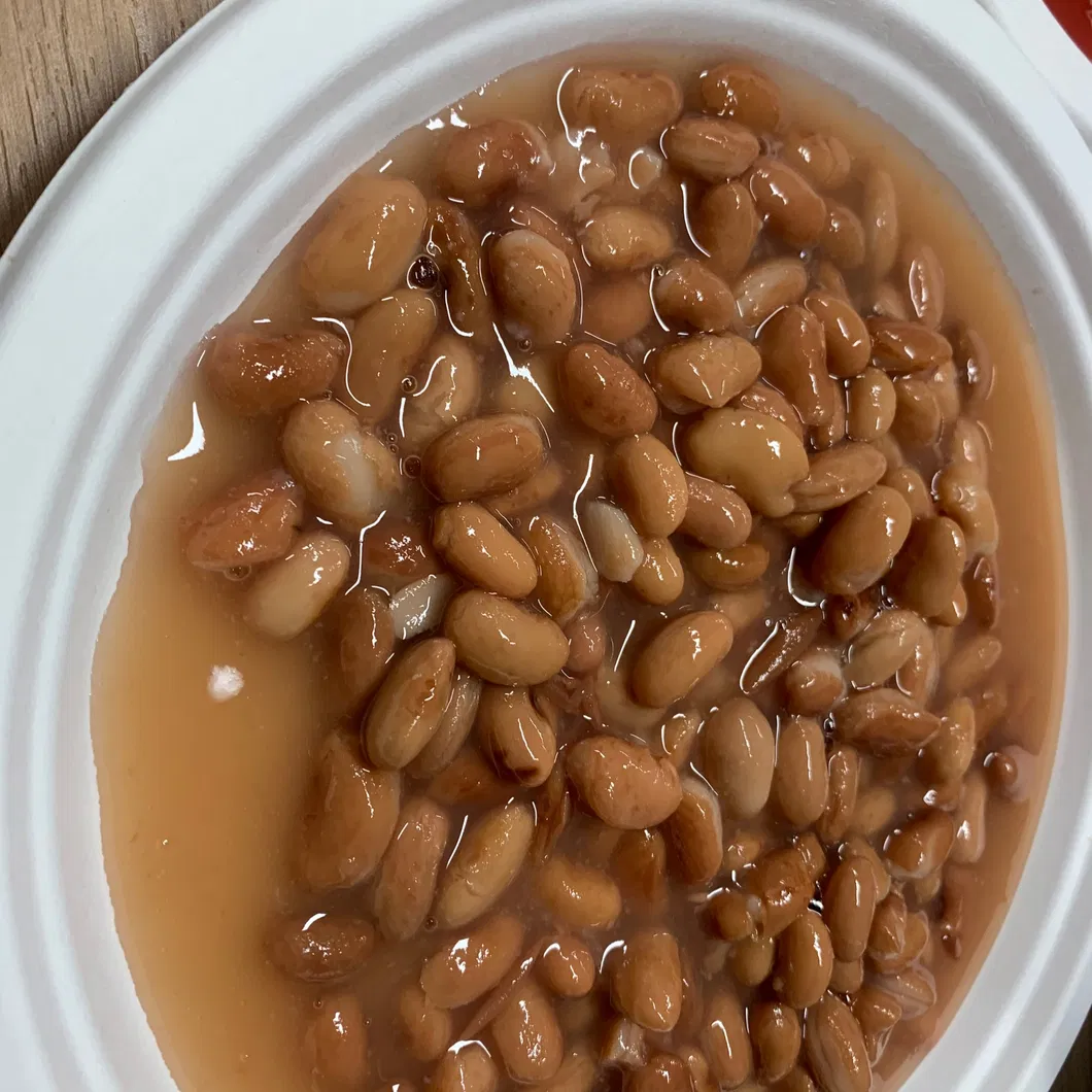 Frijoles enlatados Frijoles rojos enlatados de China
