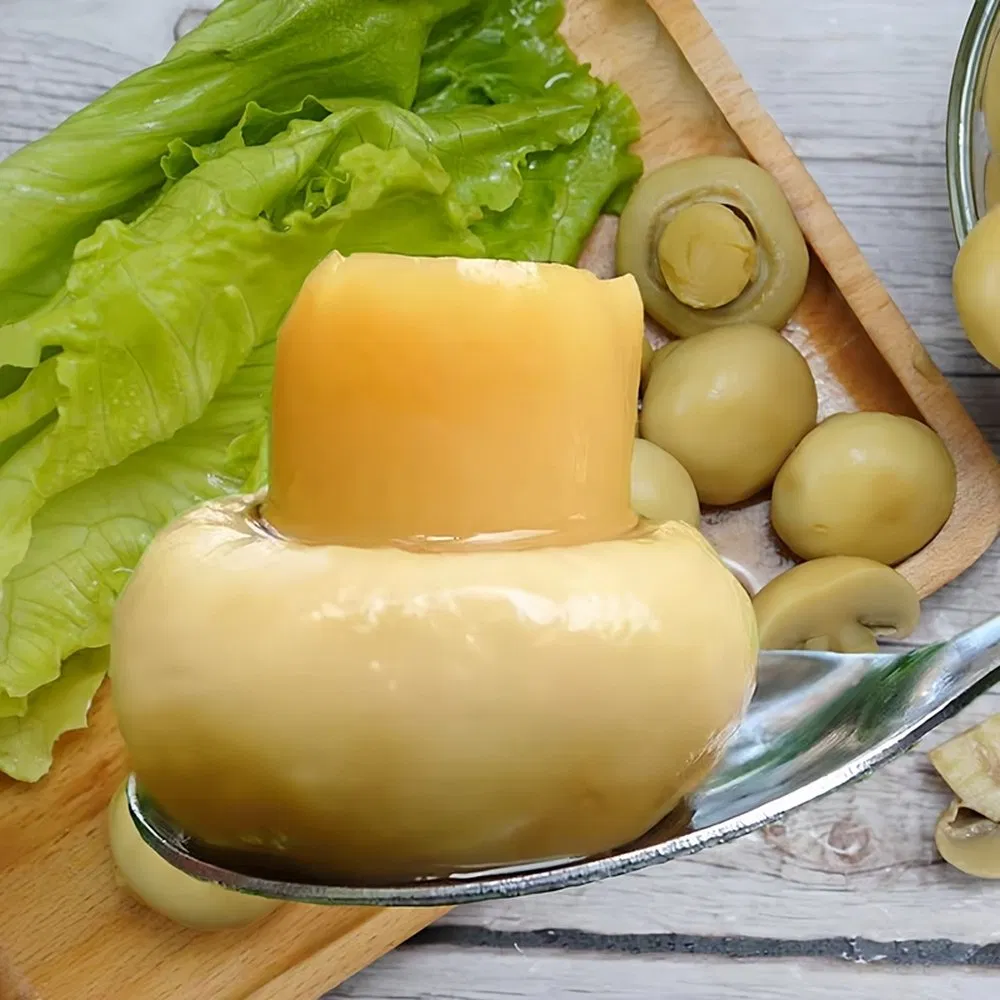 Paquete Familiar de Champiñones en Conserva Resistentes para Almacenamiento para Catering de Bodas