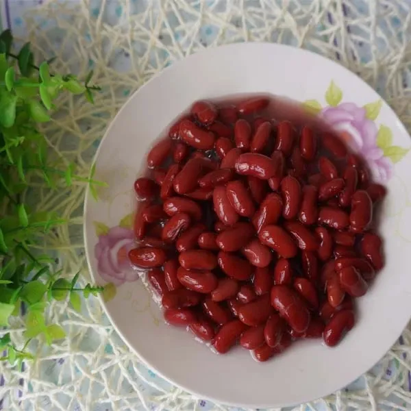 2024 Mejor Precio Frijol Rojo en Lata para Mayoristas