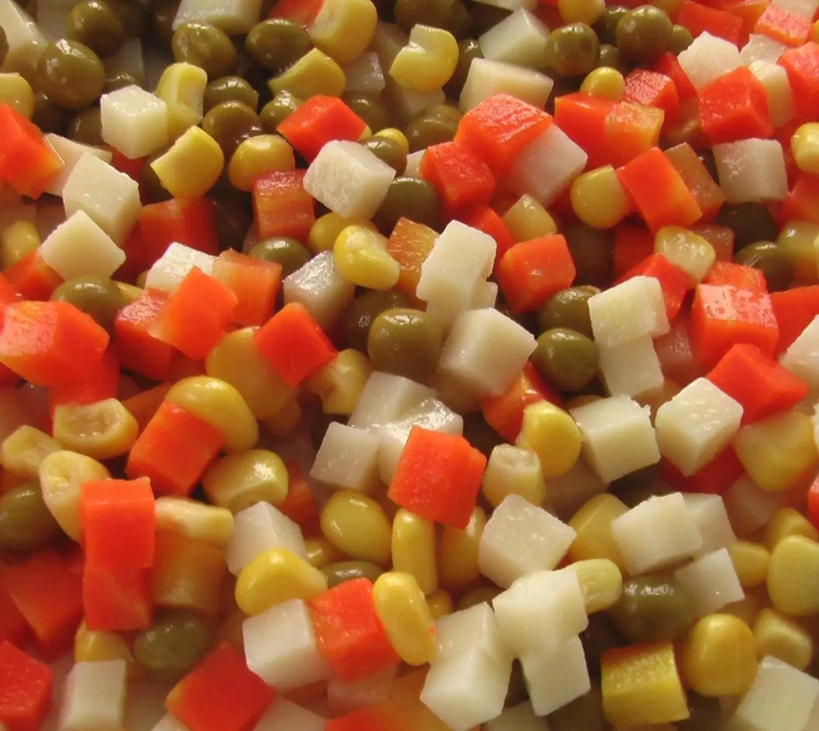 Venta caliente de verduras mixtas enlatadas certificadas con zanahorias en cubos