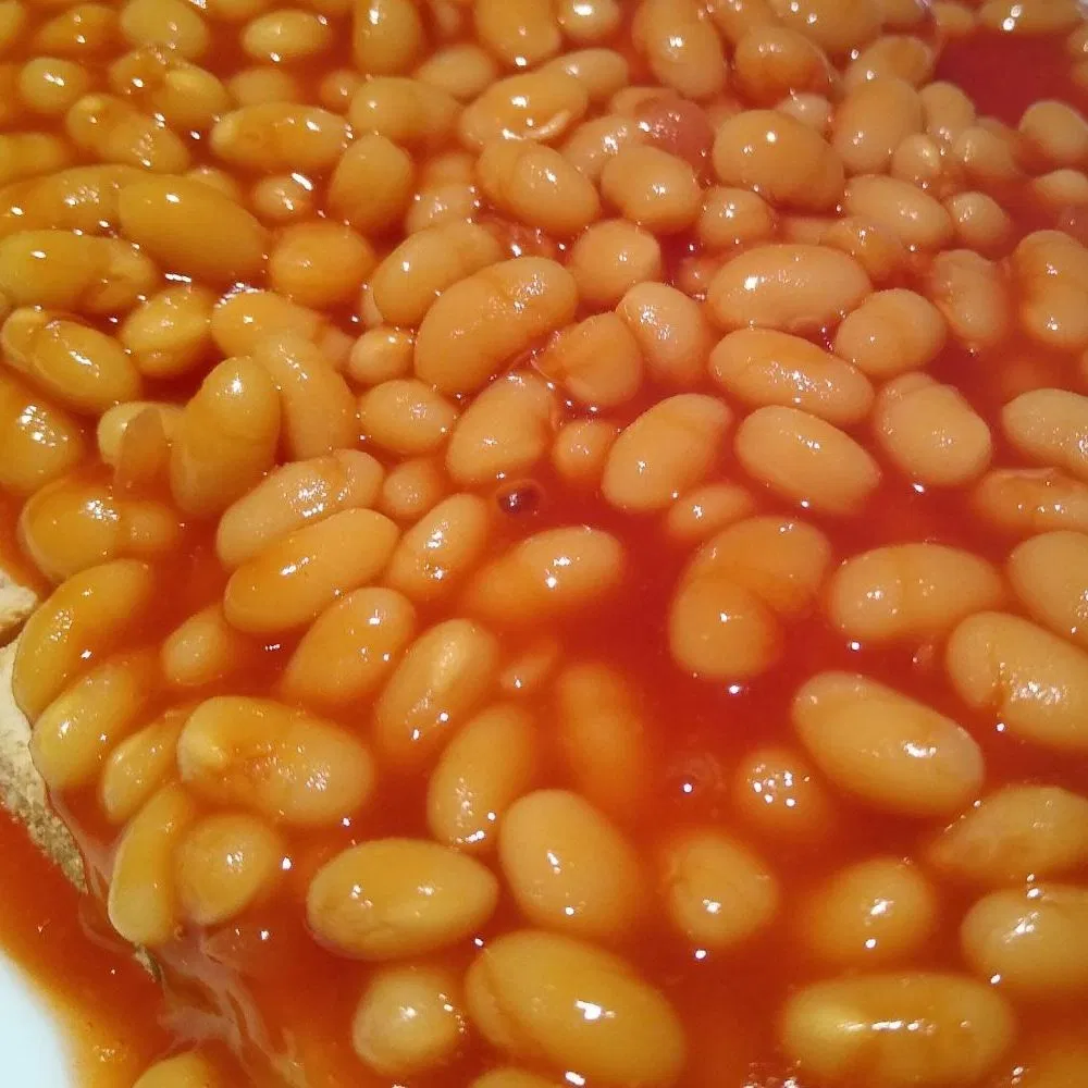 Alta calidad de las conservas de Judías en salsa de tomate 425g