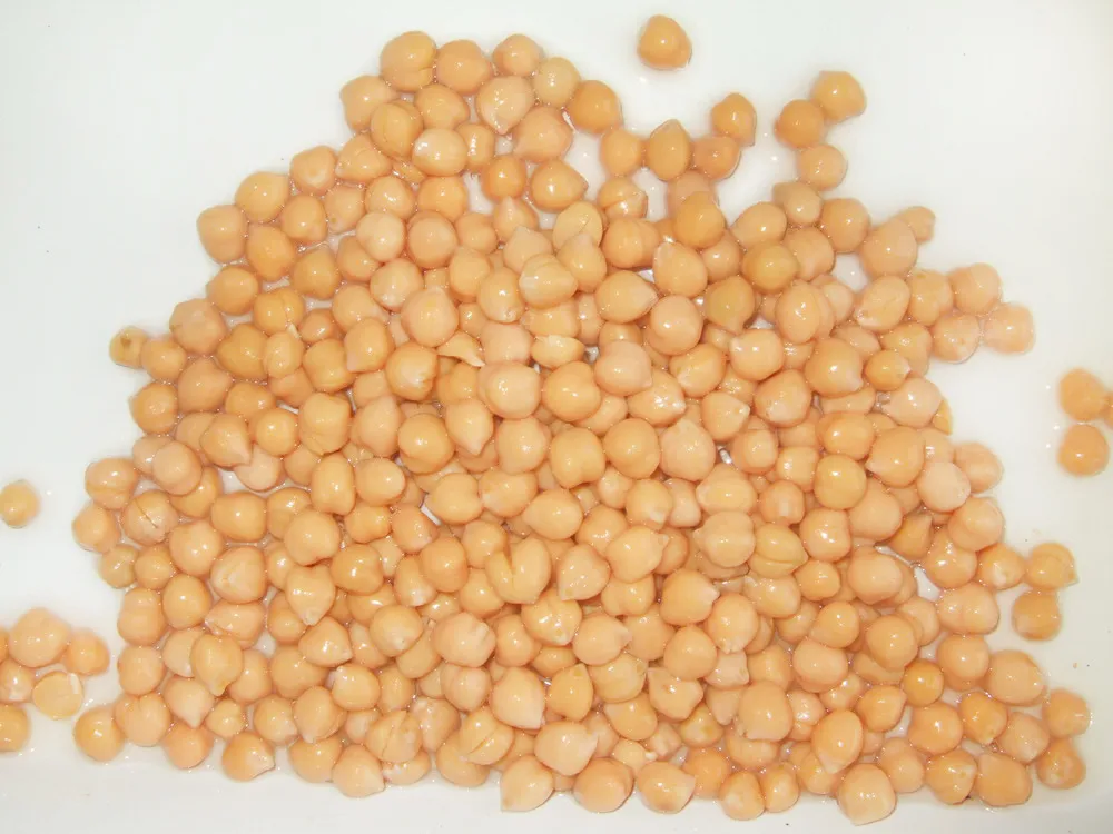 Frijoles enlatados Greencan, garbanzos enlatados de la mejor calidad