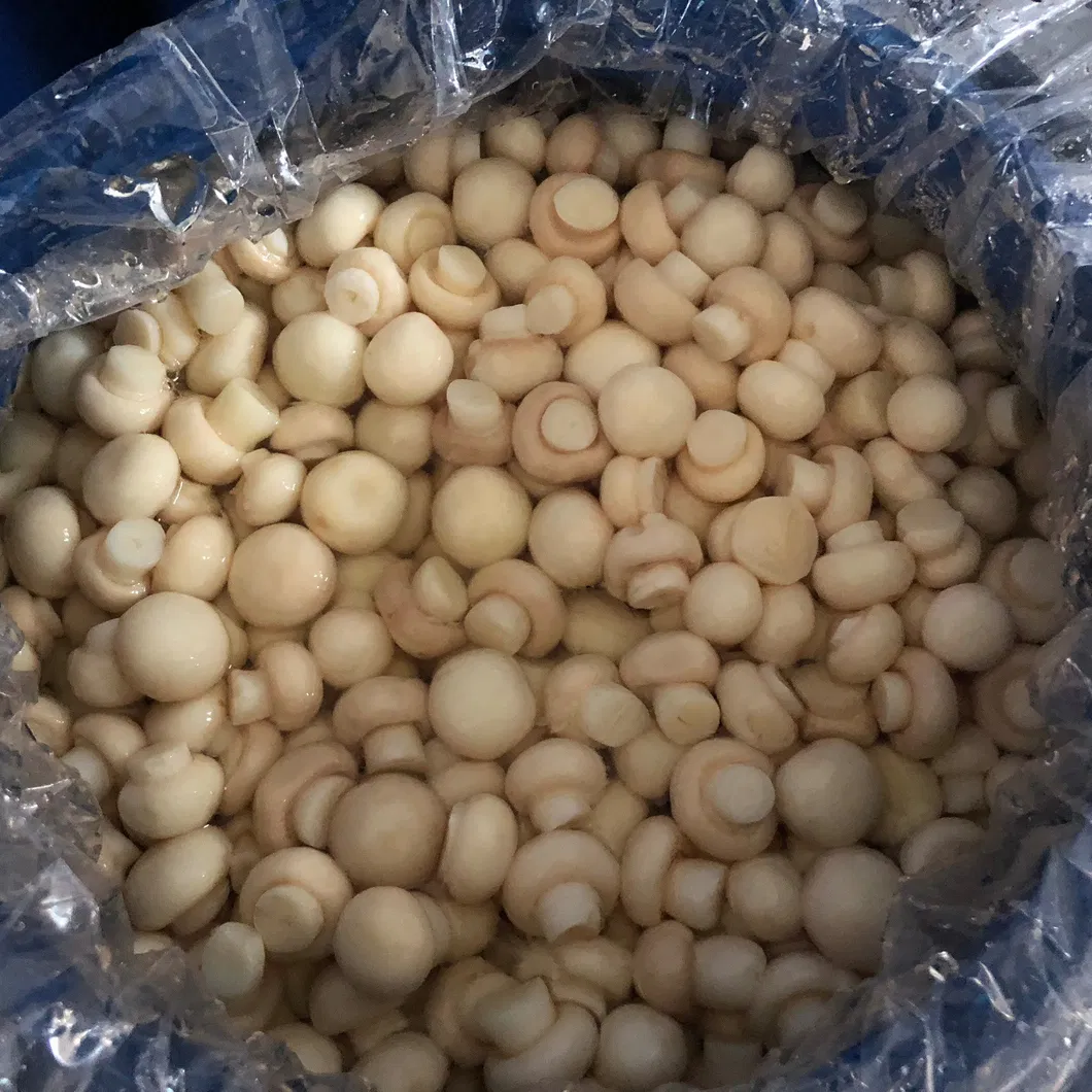 Champiñones enteros enlatados de calidad premium para cocinar y cenar