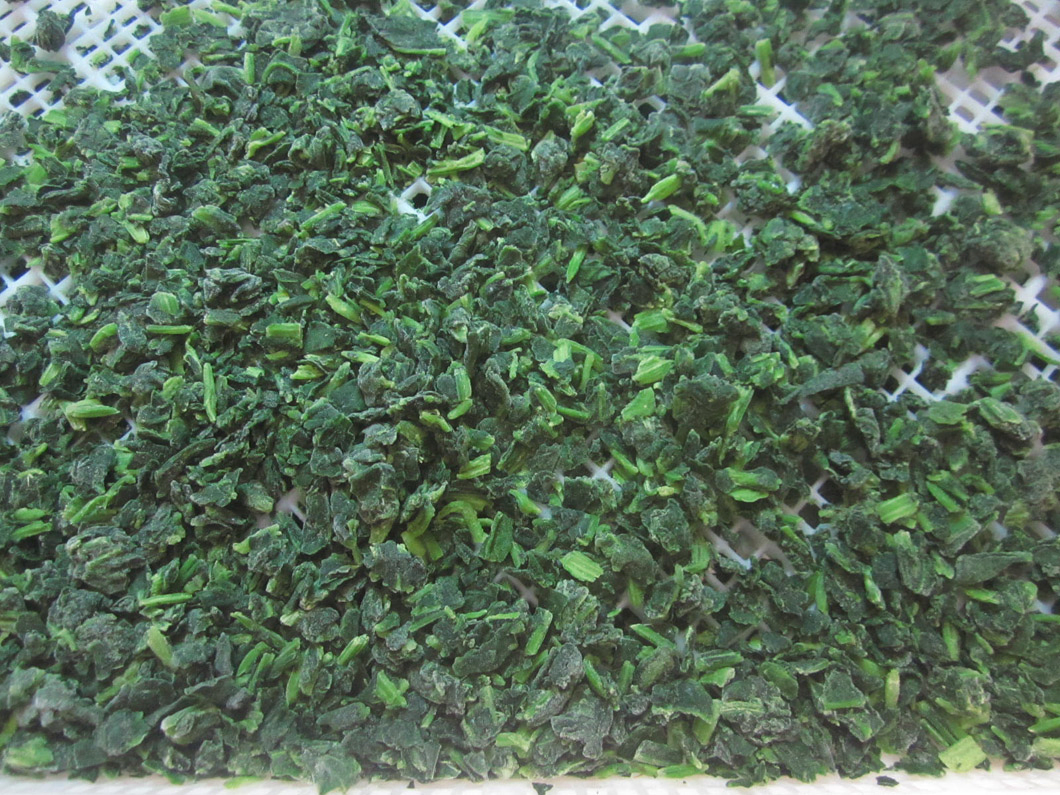 Verduras congeladas de alta calidad, espinacas picadas IQF congeladas