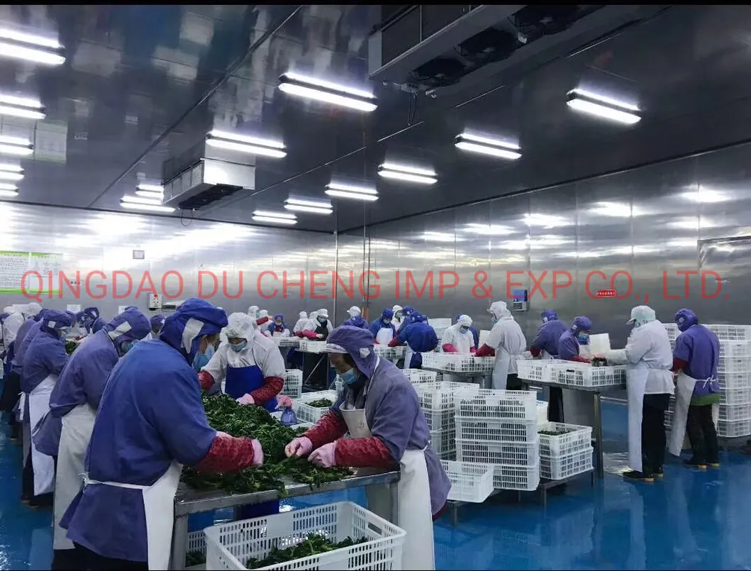 Suministro de cadena alimentaria
