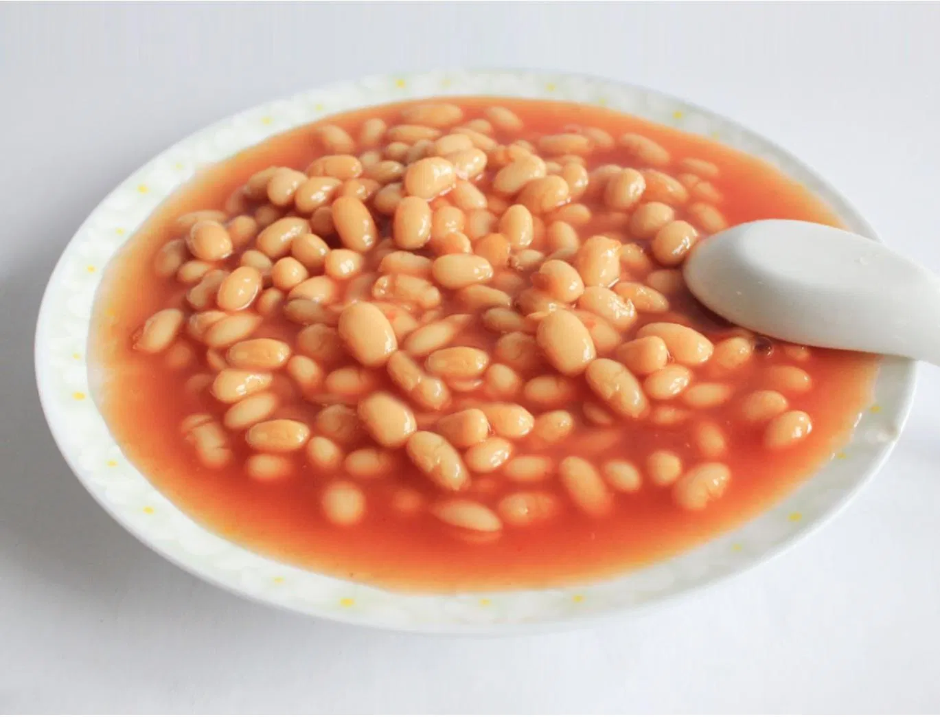 Venta al por mayor 425g Frijoles blancos horneados enlatados en salsa de tomate para supermercado