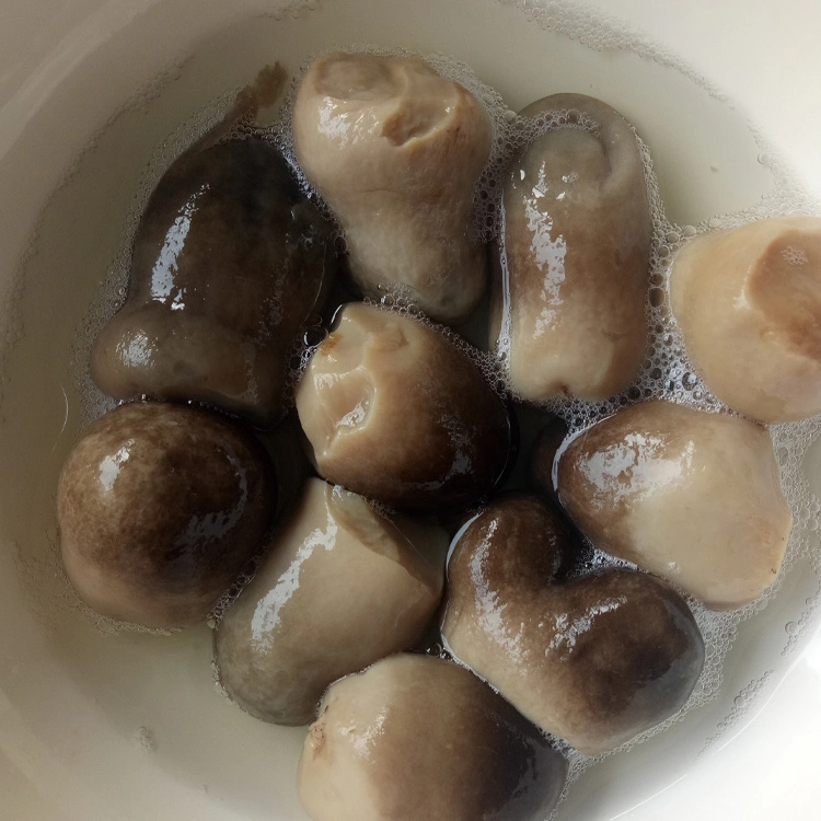 Champiñones enlatados enteros en salmuera