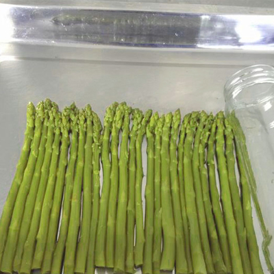 370ml Espárragos Verdes enlatados a Precio Barato
