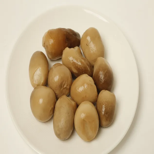 Seta 5
