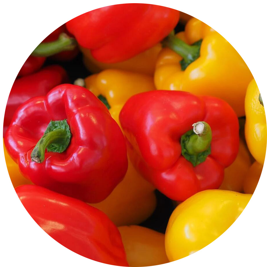 Pimiento dulce congelado IQF de alta calidad a bajo precio