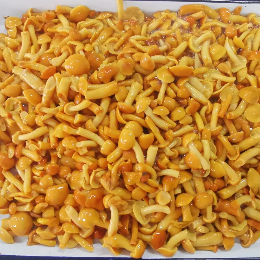 Nameko en conserva