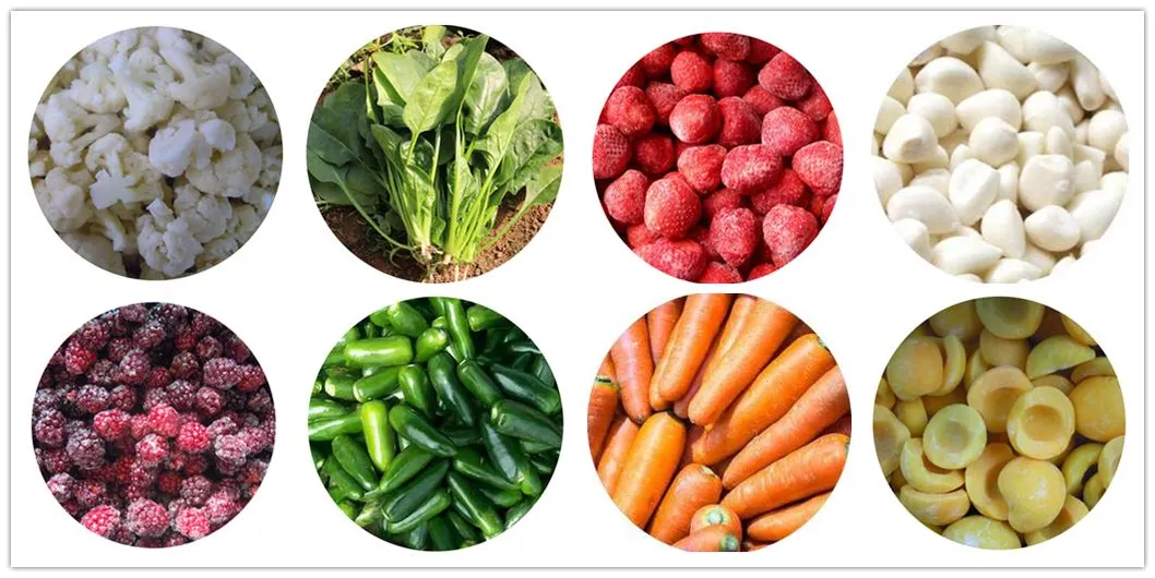 Catálogo productos 1