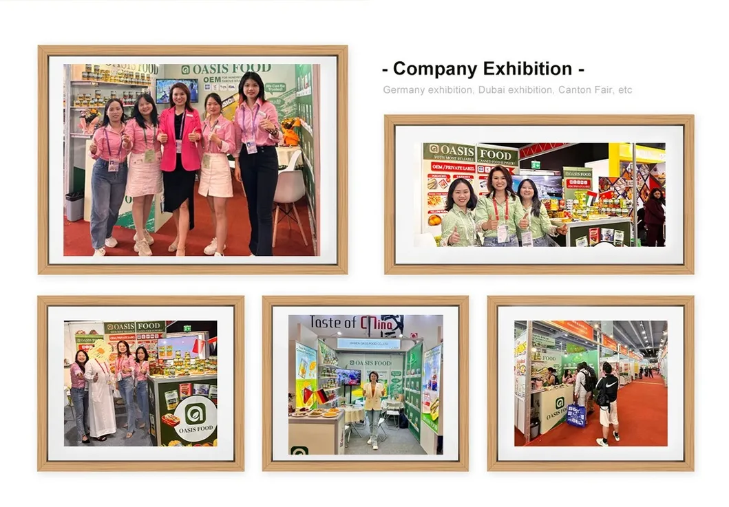 Exposiciones