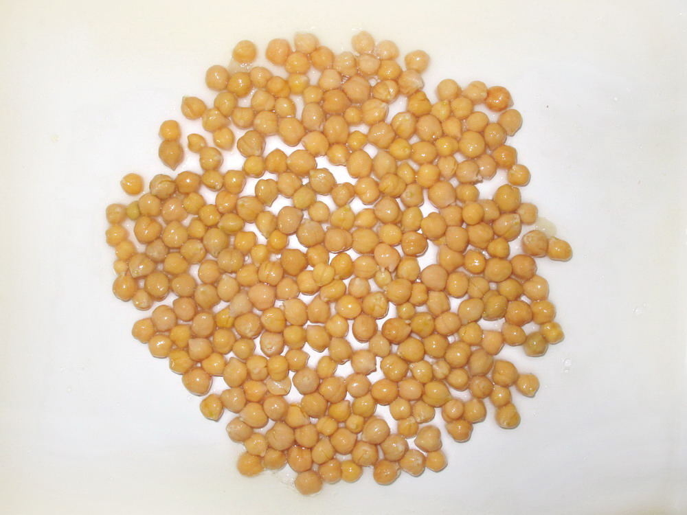 Frijoles enlatados Greencan, garbanzos enlatados de la mejor calidad