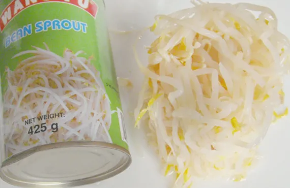 Deliciosa 314ml Brote de Frijol enlatado de Alta Calidad