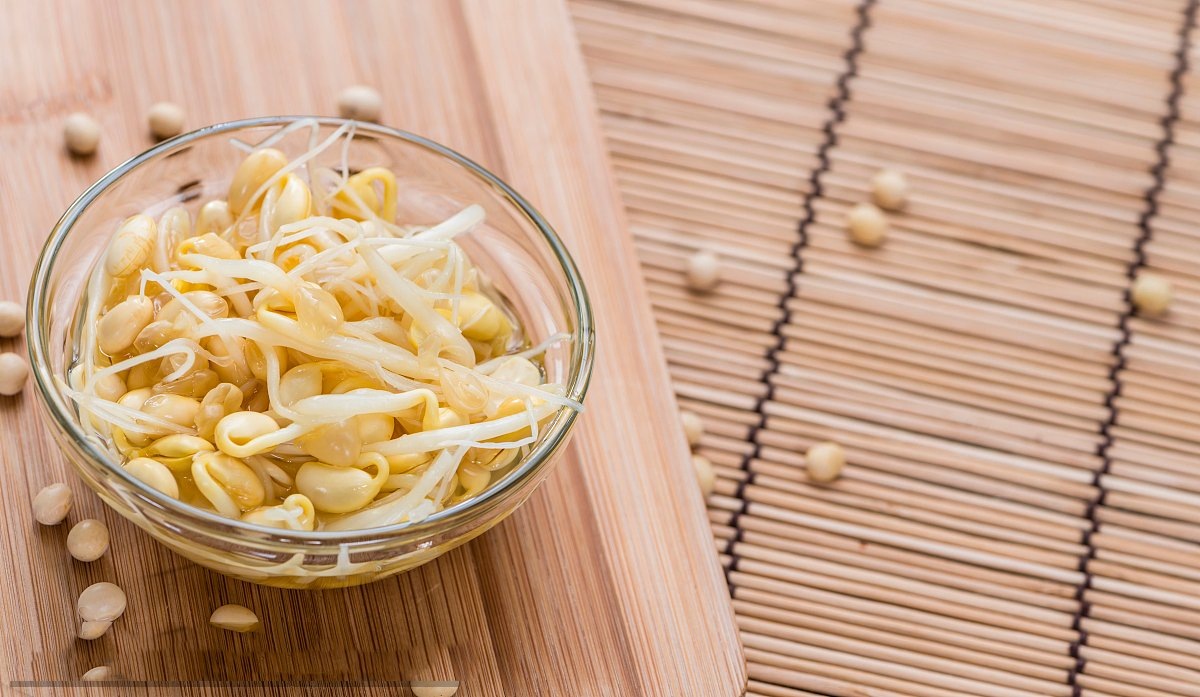 Brotes de soja y frijol mungo en tarro de vidrio en lata con el mejor sabor