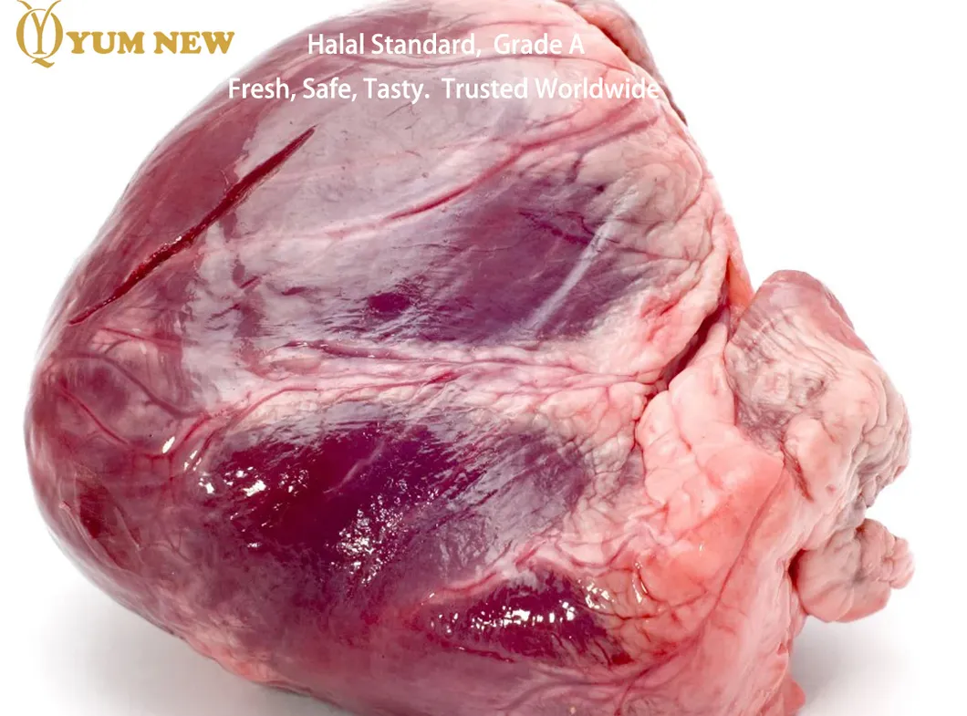 Corazón de cabra halal congelado nutritivo para cocinar con mejor sabor