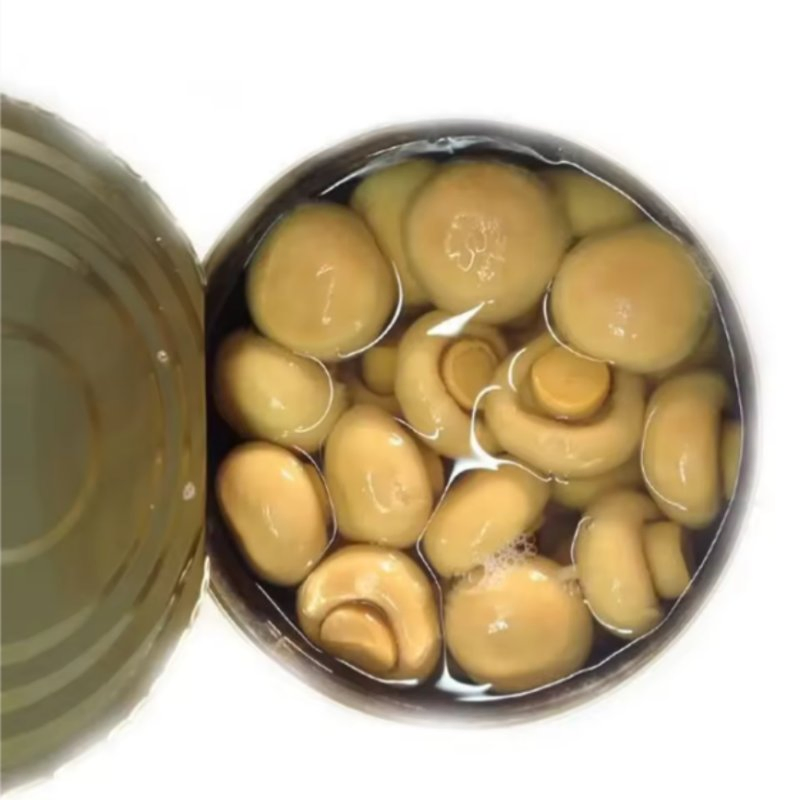 OEM/ODM Disponible 400g Champiñones Enteros en Lata en Rodajas de China Conservados en Solución Salina Exportados a Nivel Mundial