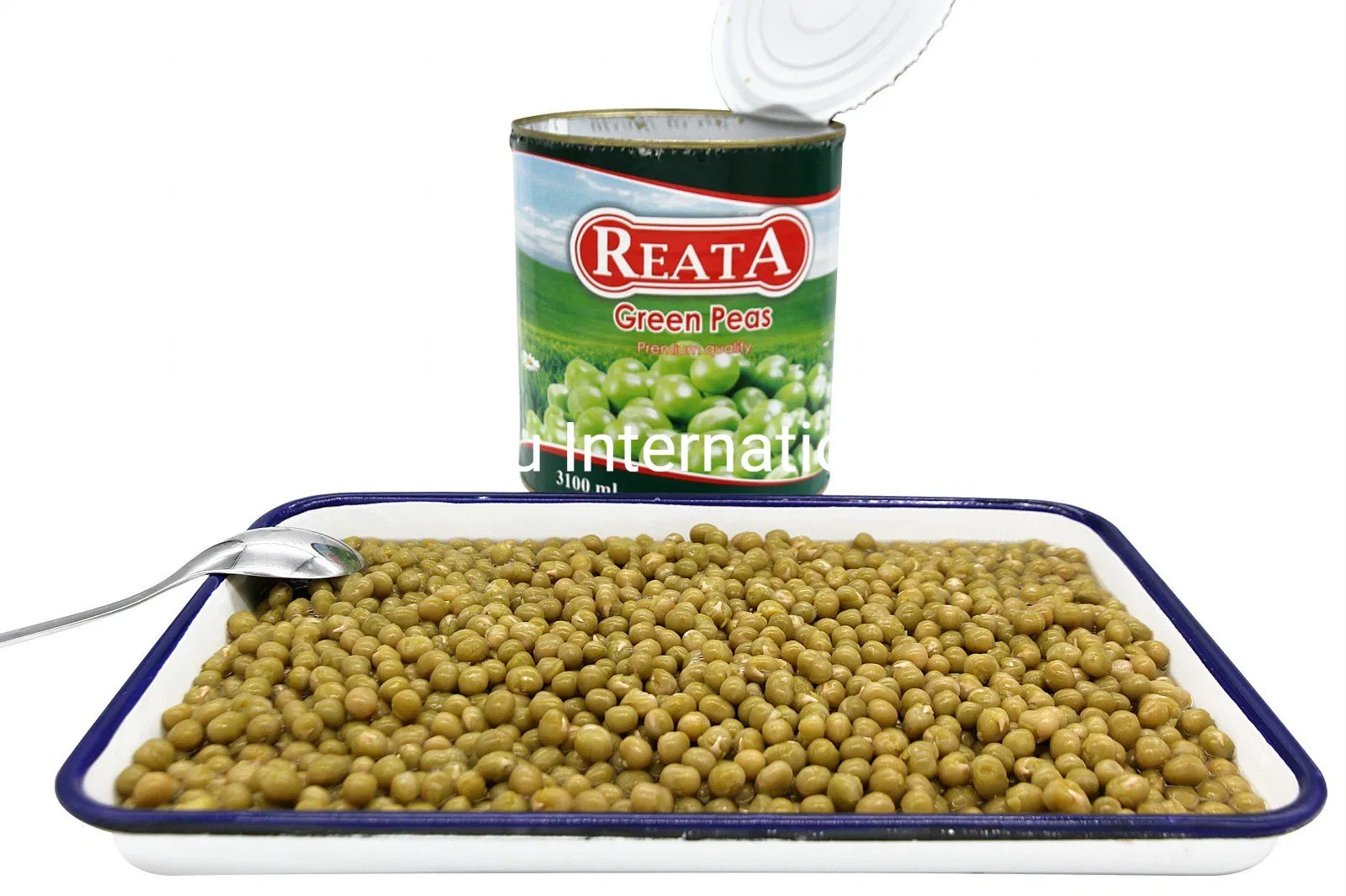Frijoles enlatados Guisantes verdes frescos enlatados 400g con precio competitivo