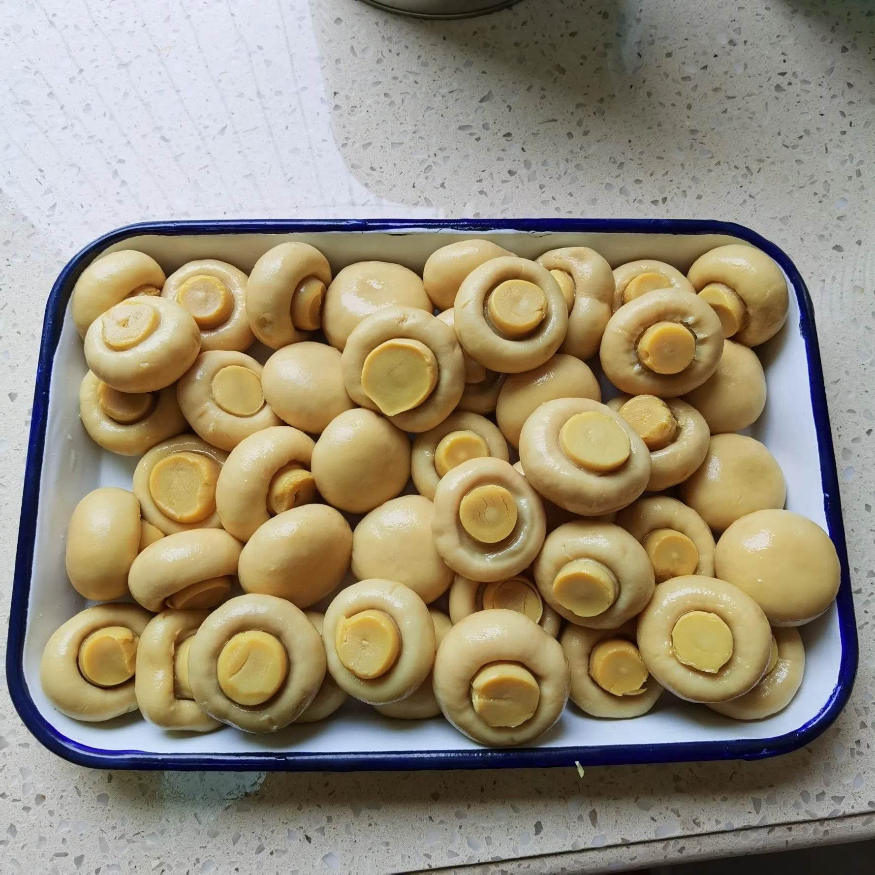 2022 Nuevas Conservas Corp Comida Enlatada Verduras Enlatadas Champiñones Enlatados Champiñón/ Champiñón en Lata para Venta al Por Mayor