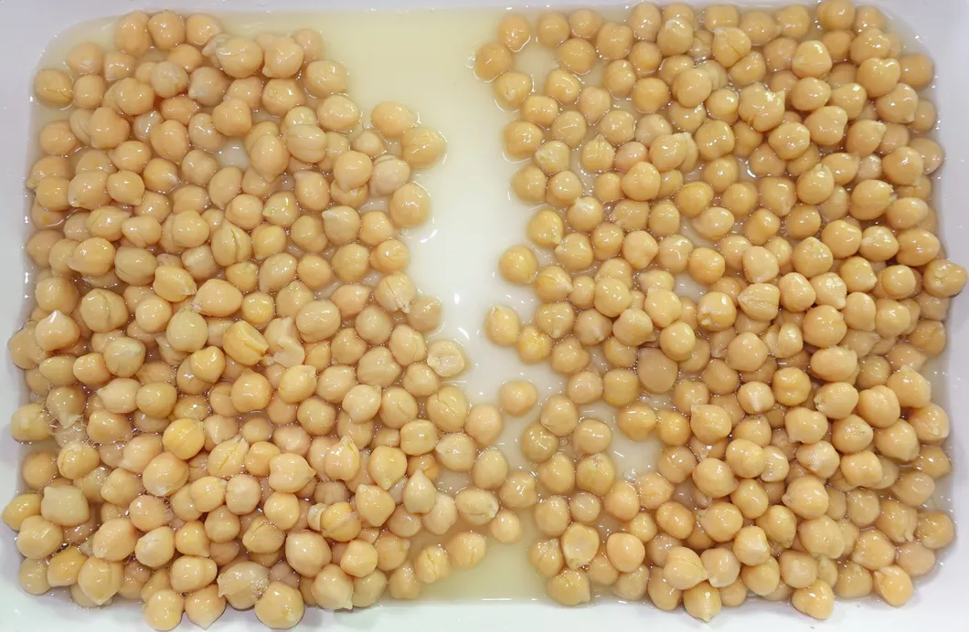Garbanzos orgánicos enlatados al por mayor en salmuera