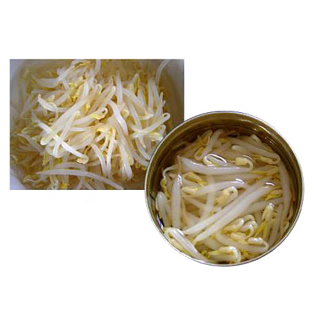 Brotes de soya enlatados de alta calidad
