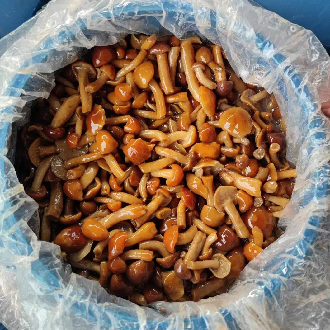 Detalle Nameko 1