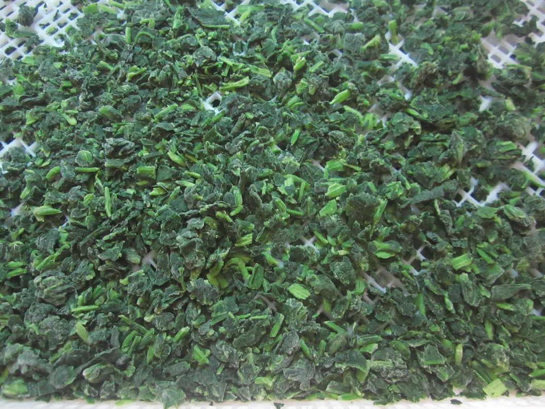 Espinacas Picadas IQF 1