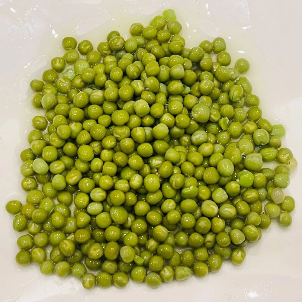 Guisantes enlatados de alta calidad Precios baratos