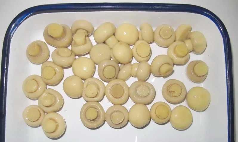 Fábrica de conservas