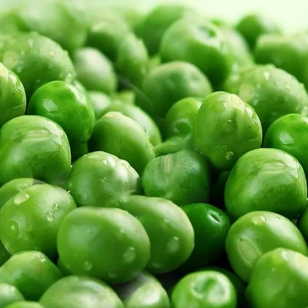 Estándar de Preparación de Guarniciones de Restaurante de Hotel Premium Ingredientes Guisante Verde en Salmuera en Lata