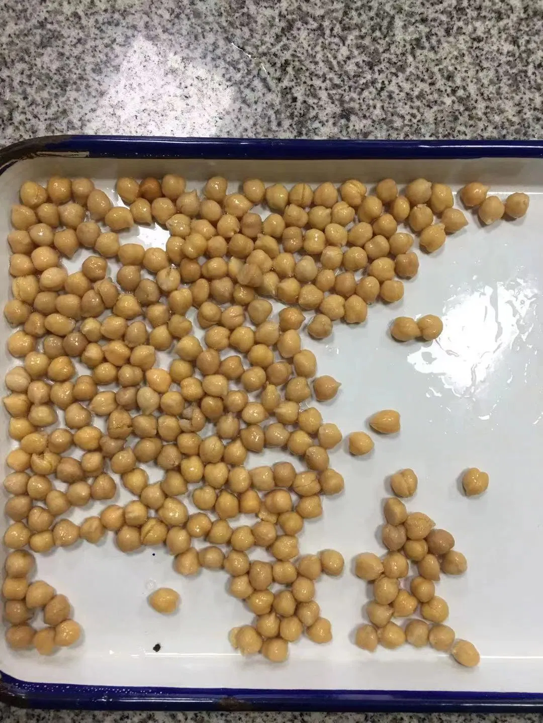 Garbanzos orgánicos enlatados al por mayor en salmuera