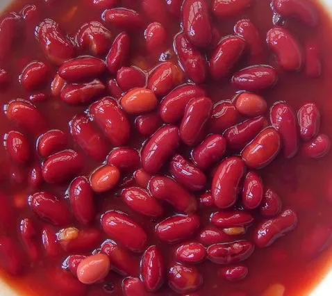 Frijoles rojos enlatados de alta calidad en salmuera