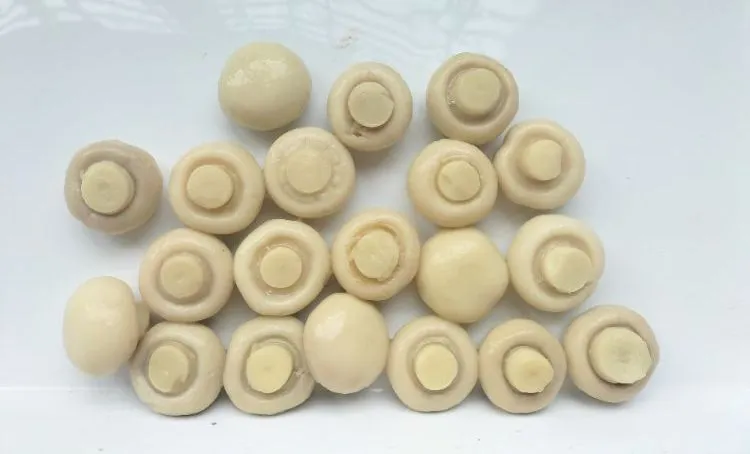 Champiñón enlatado