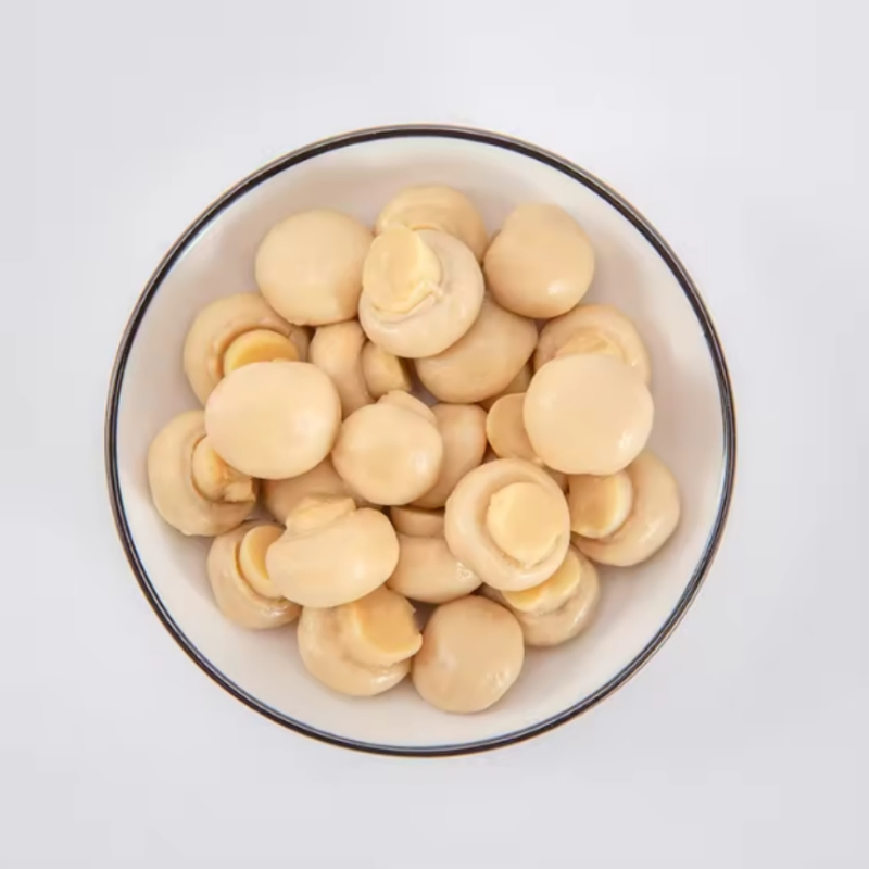 OEM/ODM Disponible 400g Champiñones Enteros en Lata en Rodajas de China Conservados en Solución Salina Exportados a Nivel Mundial