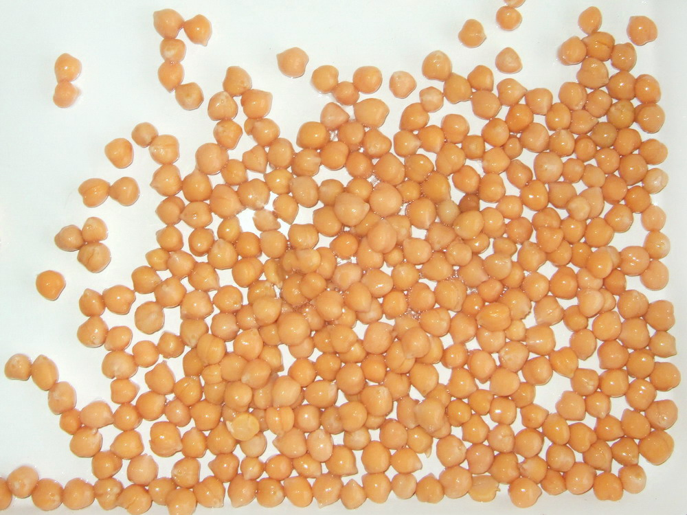 Frijoles enlatados Greencan, garbanzos enlatados de la mejor calidad