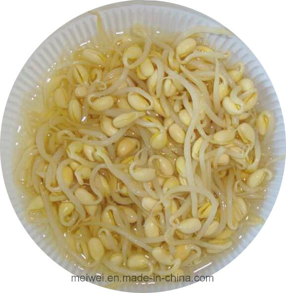 Brotes de frijol mungo, frijoles de soya enlatados, brotes