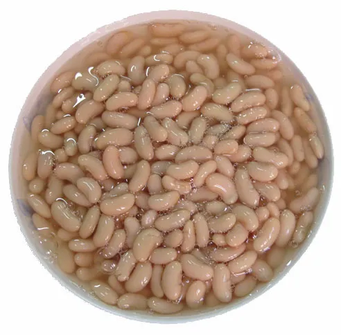 Frijoles blancos enlatados 4